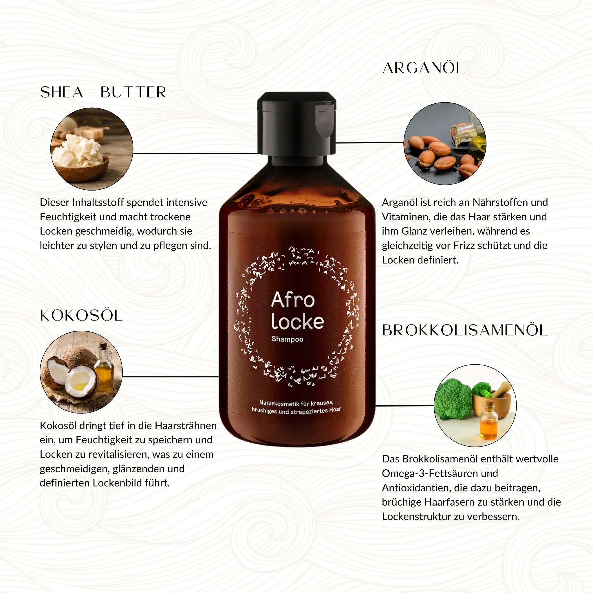 Afrolocke | Shampoo /250ml Shampoo Afrolocke