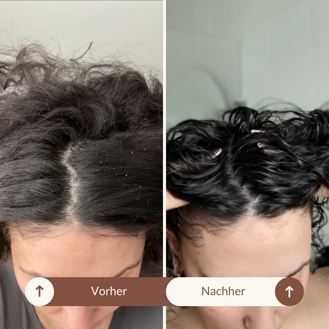 SARI CURLS | Scalp Brush Bürsten & Kämme SARI CURLS