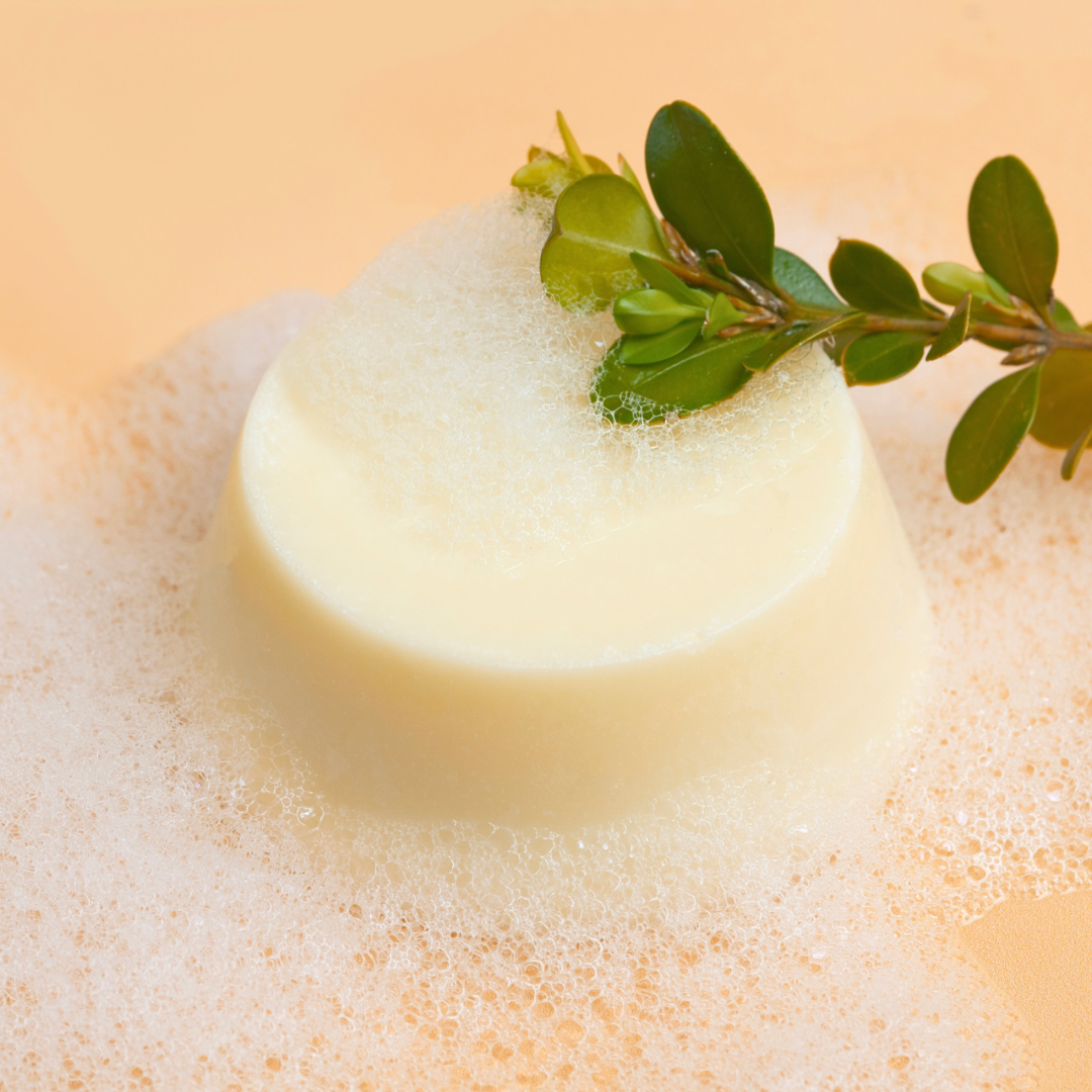 Curly Secret | Conditioner Bar /60g Conditioner Curly Secret